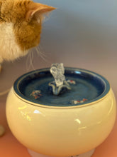 Ceramic Fountain – Safe Hydration and Style for Your Cat